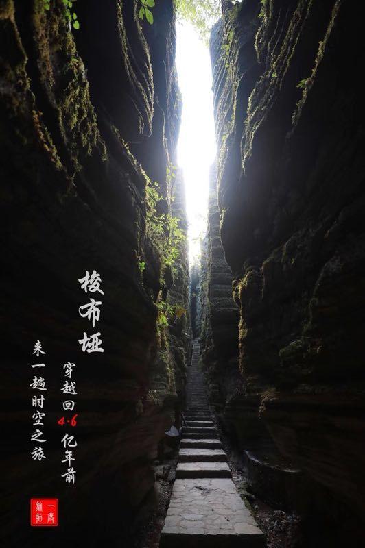 拯救穆尔小马