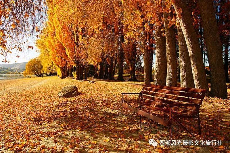 人生旅途,我做你的“靠山”