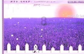 北欧两项——跳台滑雪/越野滑雪赛况