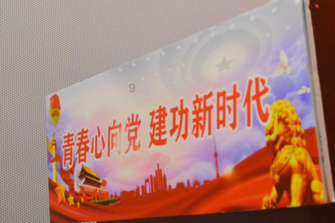 救援呆萌的猫