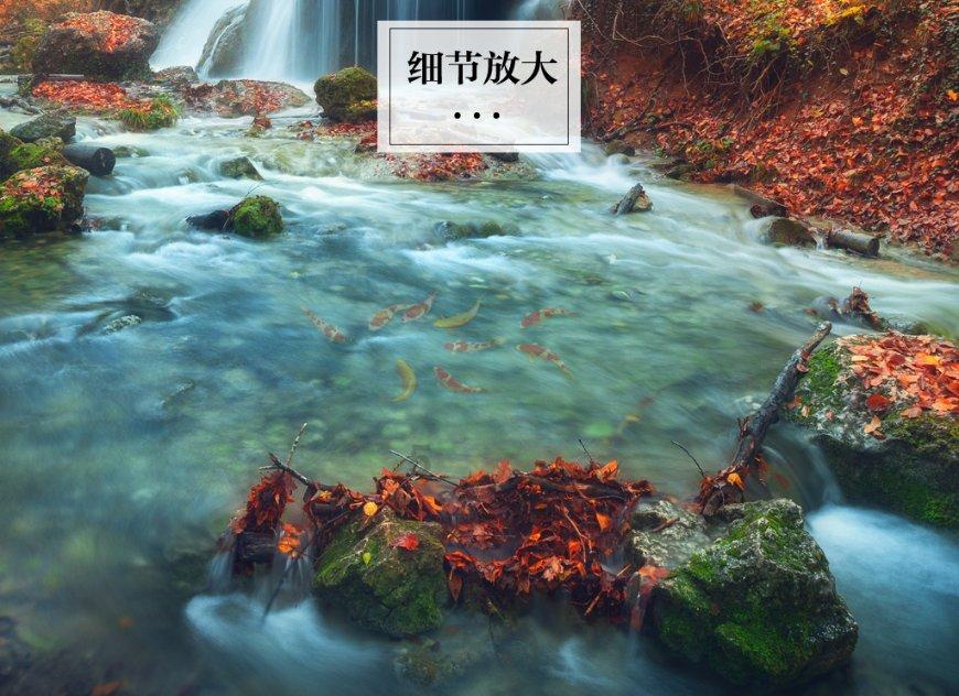 寻找迷路的女孩