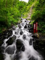机场直通车方便旅客出行