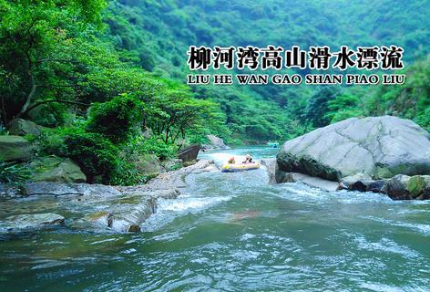 守卫木鱼